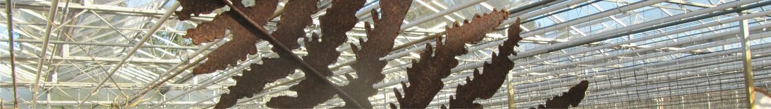 Decoroest tuindecoratie